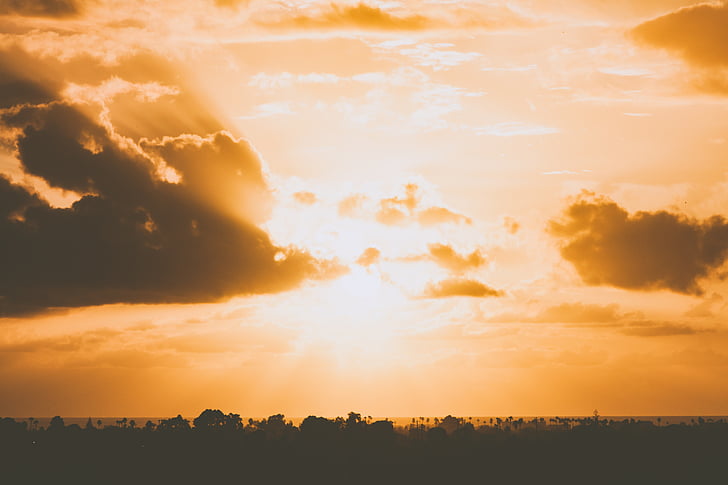 donker, wolken, hemel, zonsondergang, bomen, silhouet, weergave