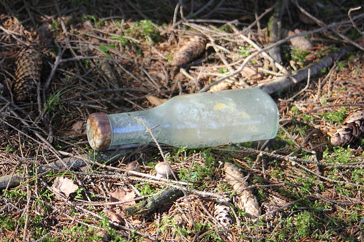 bouteille, débris, nature, verre