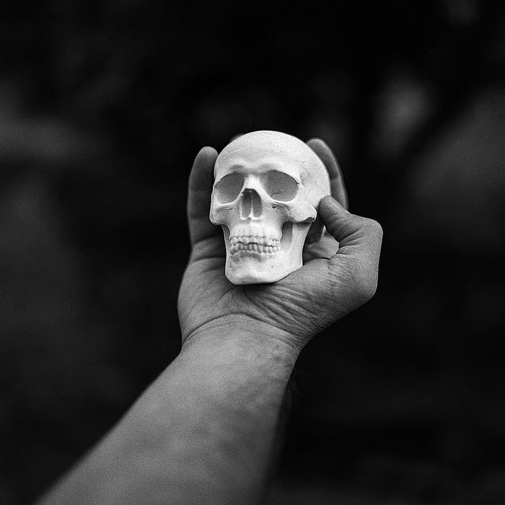 Schädel, Hand, Toten, menschlichen, Grunge, Knochen, dunkel