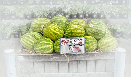 vandmeloner, frugt stander, frugt, kreditorer, til salg, gaden salg, Georgien
