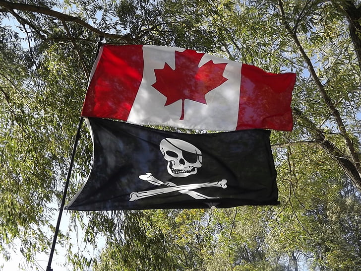Bandera, canadiense, pirata, árbol