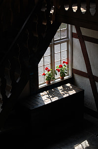 window sill, window, old, home, building, light, staircase