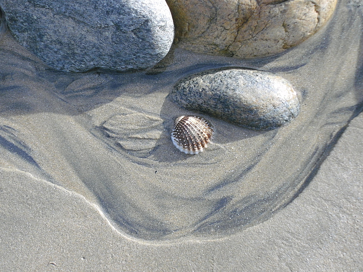 ชายหาด, หิน, ทราย, ธรรมชาติ, หอยแมลงภู่, แสง