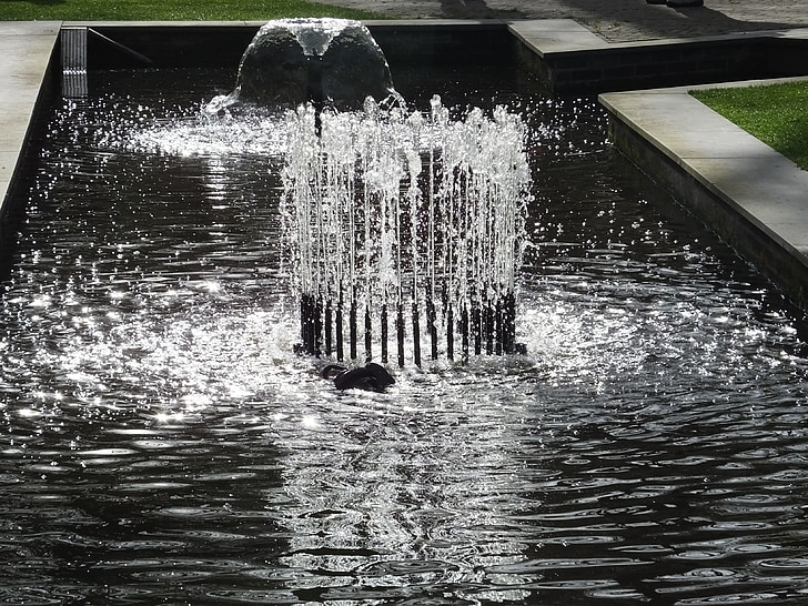фонтан, вода функция, Keukenhof