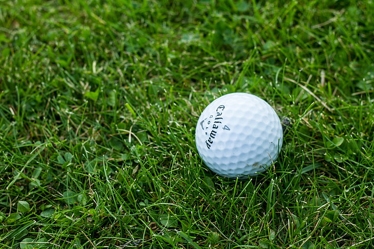 Golf, pilota de golf, herba, verd, Noruega, Oslo, esport