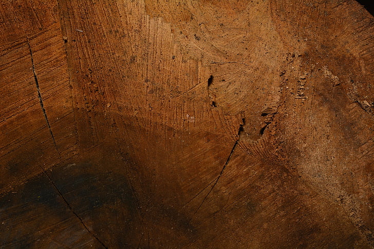 wood, structure, wood fibres, wood grain, close, texture, background