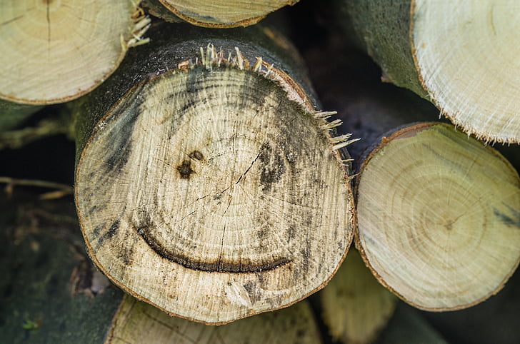 wood, log, laugh, funny, face, smiley, holzstapel