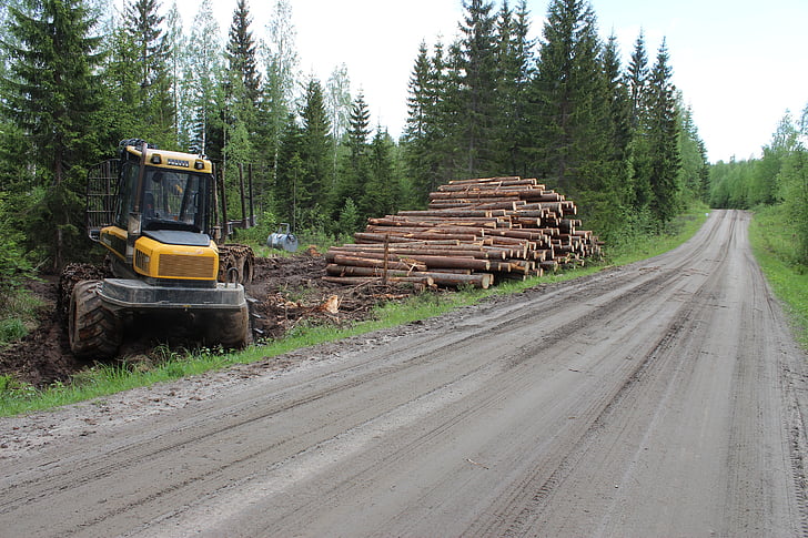 forest, road, log, forest machine, dirt road