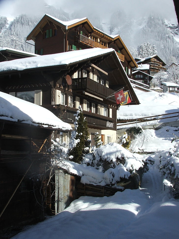 Swiss, Domki, tradycyjne, Wengen, Alpy, Szwajcaria, zimowe
