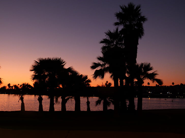 San diego, posta de sol, palmes, l'aigua, del Pacífic, EUA, Califòrnia