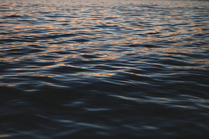 corpo, água, mar, oceano, onda, natureza, rippled