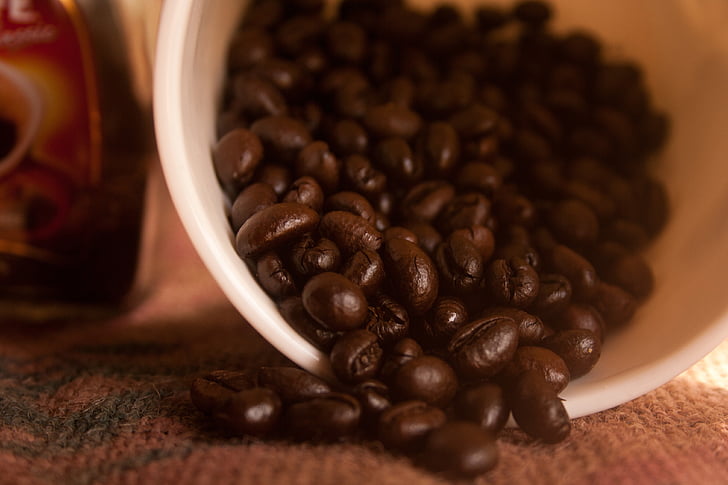 coffee, beans, bowl, caffeine, roasted, seed, bean