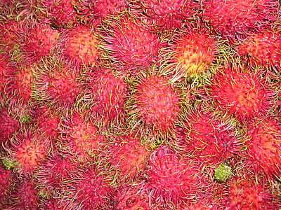 lychee, litsch, southeast, asia, so, fruit, food