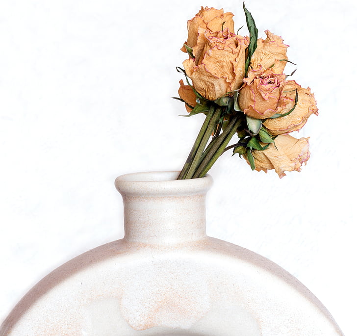 bunga kering, mawar, karangan bunga, vas