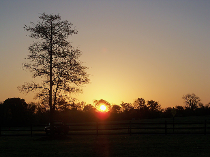 mặt trời mọc, đất trang trại, vùng nông thôn, Silhouette, màu da cam, Thiên nhiên, cảnh quan