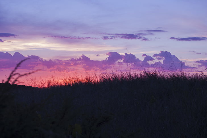 силует, Фотографія, Талль, трава, поле, Хмара, Захід сонця
