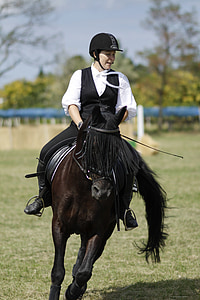 ride, Equestrian, dressur, kvinde, hest, Sport