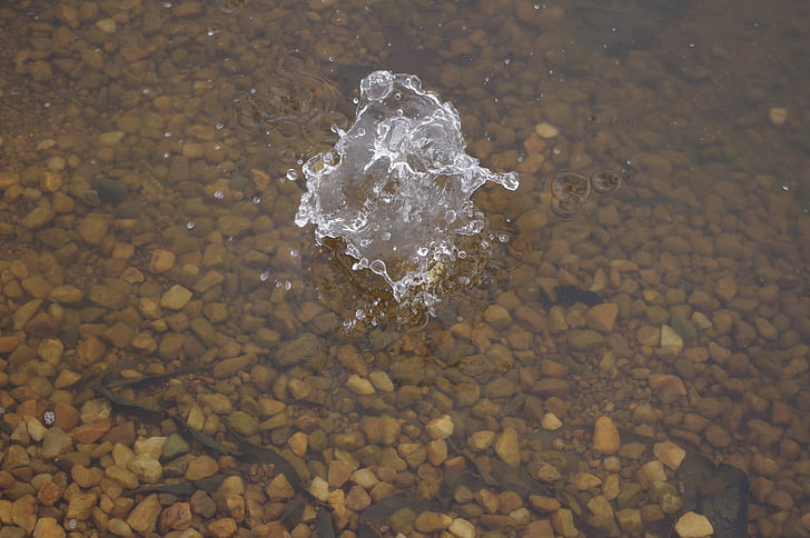 Splash, vatten, koppla av, dammen, Zen
