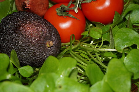 avocado, Postel eien, portulak, tomate, mânca, salata, produse alimentare