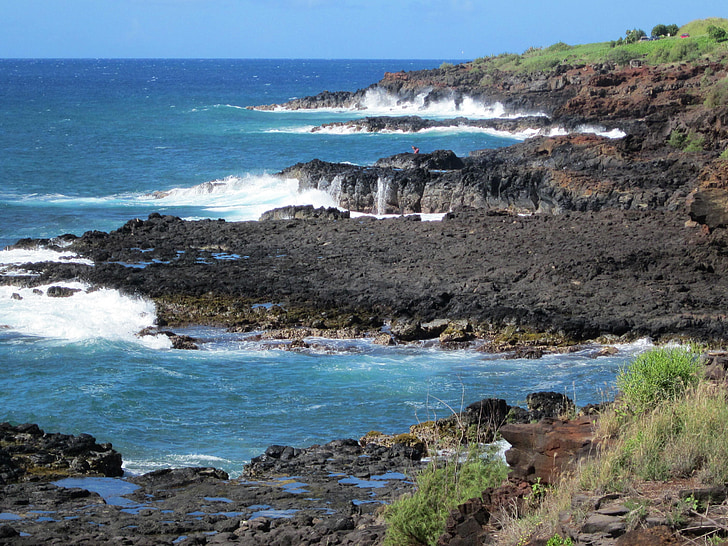 oceán, pohled, Tropical