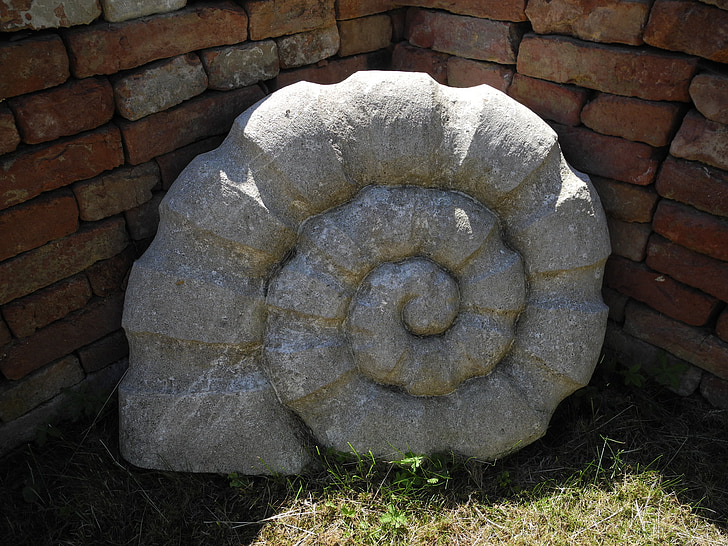 pedra, caracol, jardim, escudo, em espiral, arte, decorativos