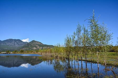 plavo nebo, bijeli oblak, planine, krajolik, u provinciji Yunnan, vode, drvo