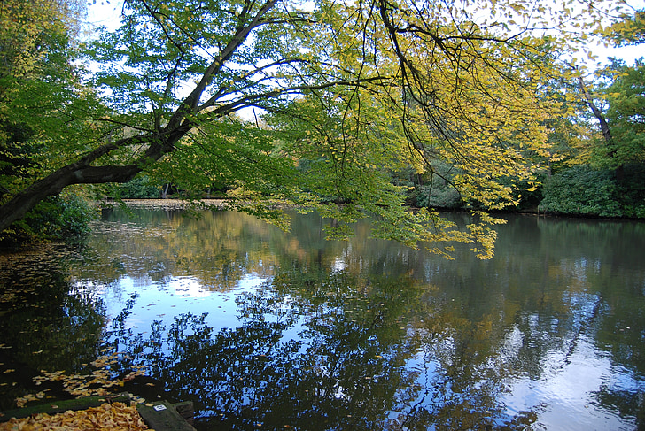 jezero, jesen, lišće, boje jeseni, priroda, šuma, mirnom