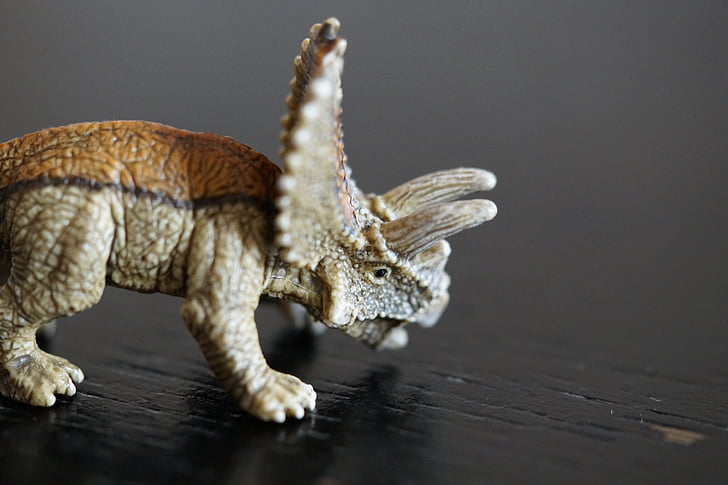dinosaur, Dino, langsom actionfigur, replika, legetøj, børn, Kæmpe øgle