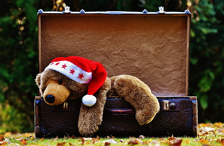 christmas, luggage, antique, teddy, soft toy, stuffed animal, toys