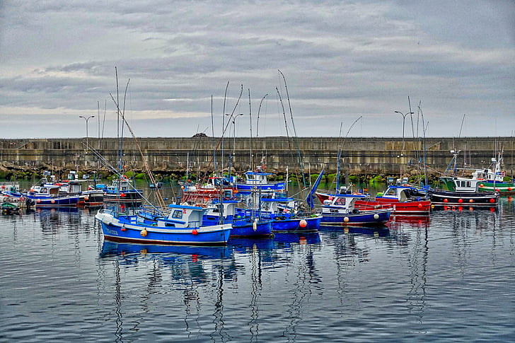 fishing boats, harbour, nautical, vessels, boats, dock, shipping