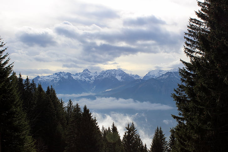 mägi, Austria, tippkohtumine, loodus, matk, maastik, mäed