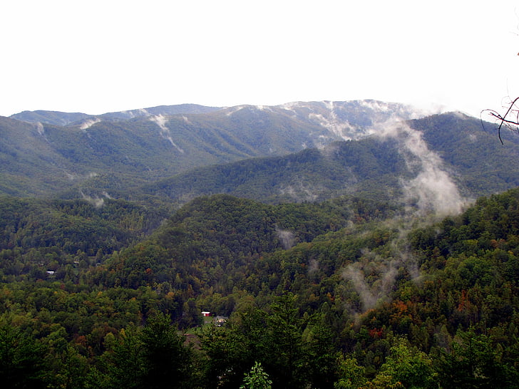 hory, mlha, stromy, krajina, pohled, Tennessee, Příroda