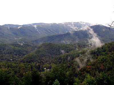 góry, mgła, drzewa, krajobraz, Widok, Tennessee, Natura