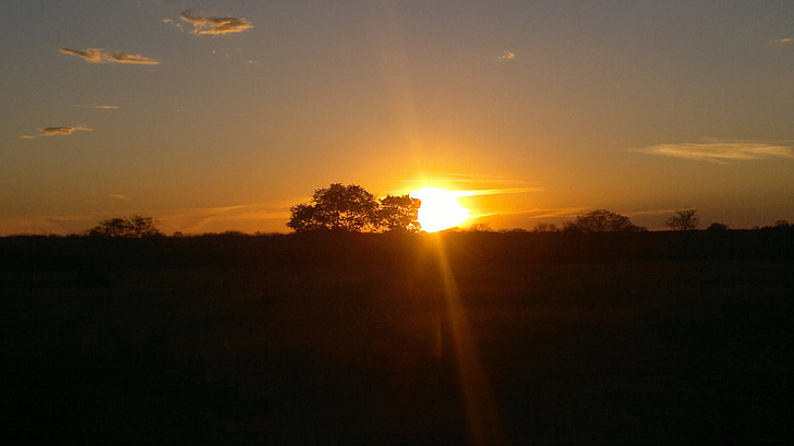 Brasil, Montes claros, solnedgang, natur, ettermiddag