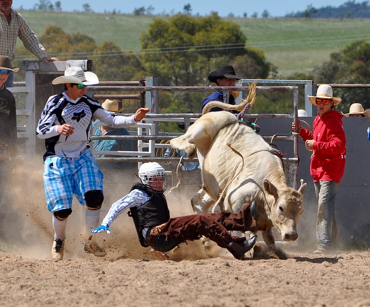 Cowboys, Bull rider, Rodeo, Mann, Ruckeln, Aktion, Arena