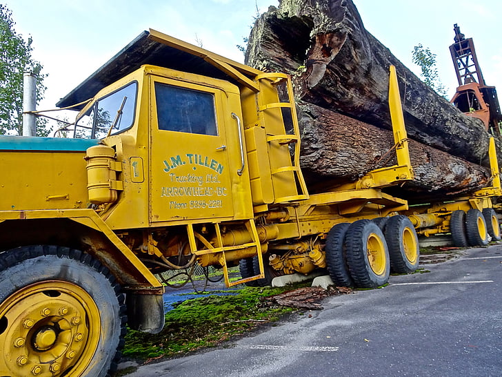 log truck, transport, trailer, wood, vehicle, logging, equipment