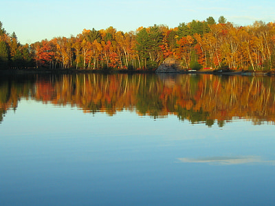 podzim, jezero, reflexe, na podzim, barvy, malebný, stromy