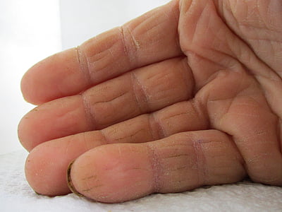 mà, mans, persones, dits, pell, mà humana, close-up