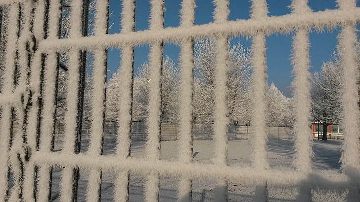 ограда, Фрост, лед, студено, зимни, сняг, замразени