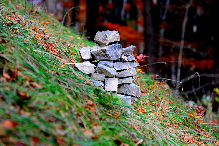 kamene, Forest, lúka, jeseň, Príroda