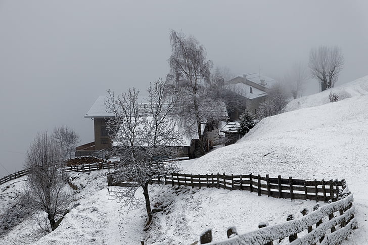 Farm, téli, hó, köd, szürke, hideg, Dél-Tirol