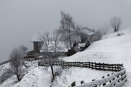 farma, zimné, sneh, hmla, sivá, za studena, Južné Tirolsko