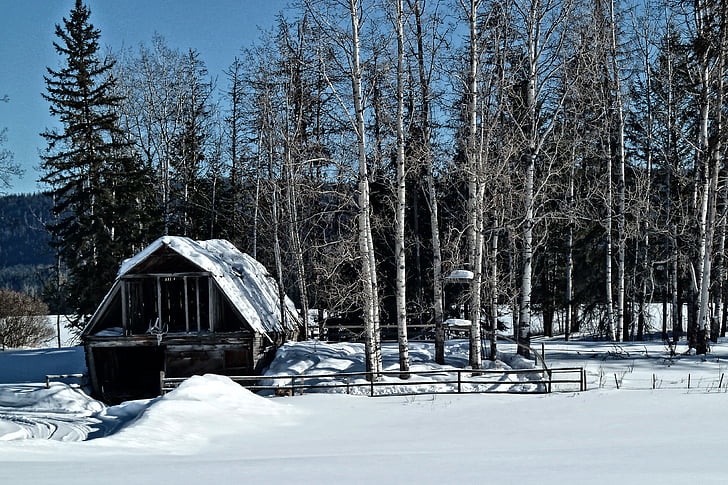 schuur, oude, boerderij, rustiek, houten, verweerde, sneeuw