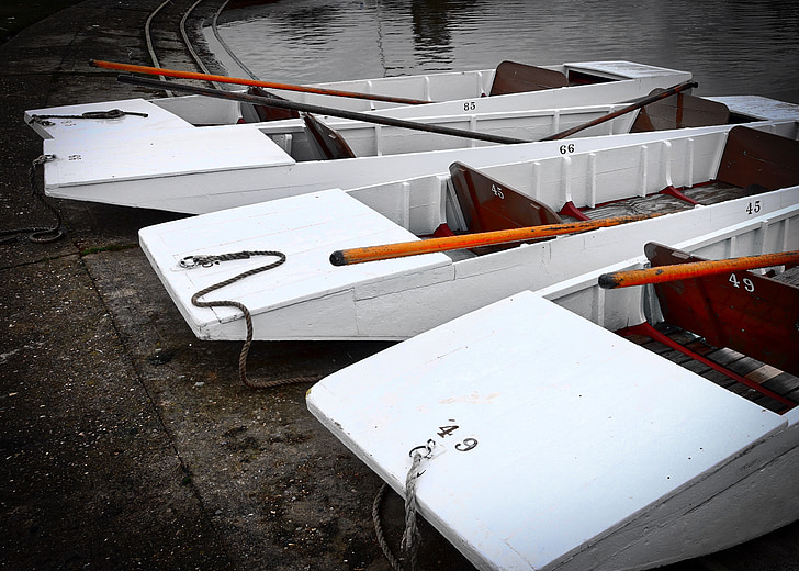 punts, moored, white, outdoor, poles, water, transportation