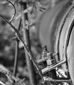 tube, pipe, screw, matrix, forest, branch, black and white
