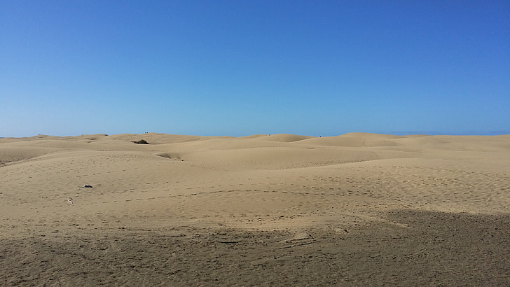 désert, dune, sable, large