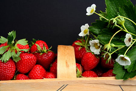 maasikad, Klõpsake toru, väli, maasika välja, puu, vitamiinid, koristatud