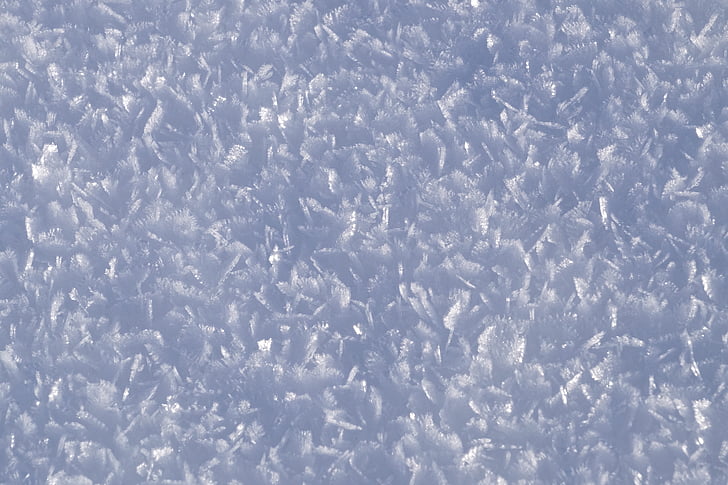 neu, floc, l'hivern, fred, de gener de 2016, fons, resum