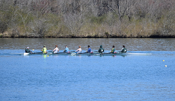mens scull rowing, scull rowing, men, rowing, sport, clinch river, melton lake