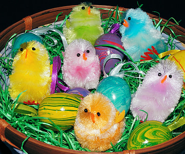 Paskah, keranjang, warna-warni, anak ayam, dekorasi, Manis